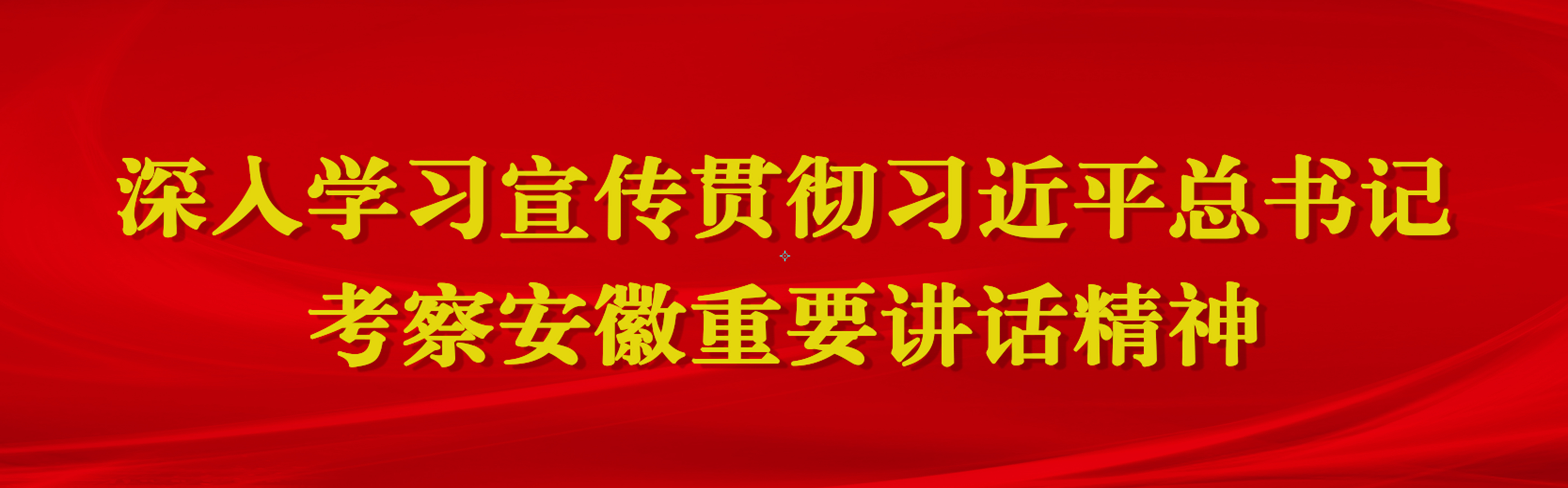 深入學(xué)習(xí)宣傳貫徹習(xí)近平總書記考察安徽重要講話精神