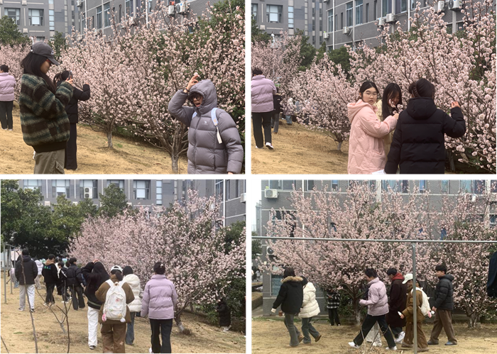 圖片1_副本.png